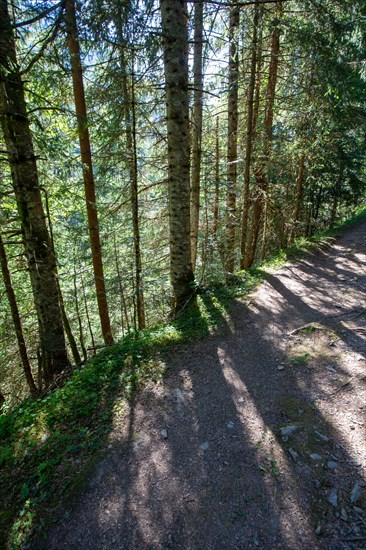 Morzine, Haute-Savoie, au fil de la Dranse de Morzine depuis le lac des Mines d'Or