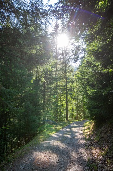 Morzine, Haute-Savoie, au fil de la Dranse de Morzine depuis le lac des Mines d'Or