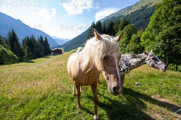 Morzine, Haute-Savoie, au fil de la Dranse de Morzine depuis le lac des Mines d'Or