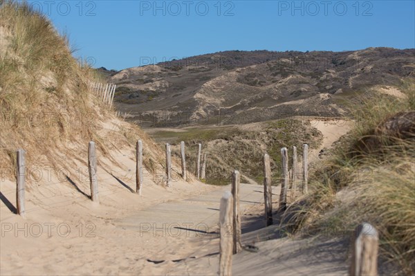 Dunes de Biville (Manche)