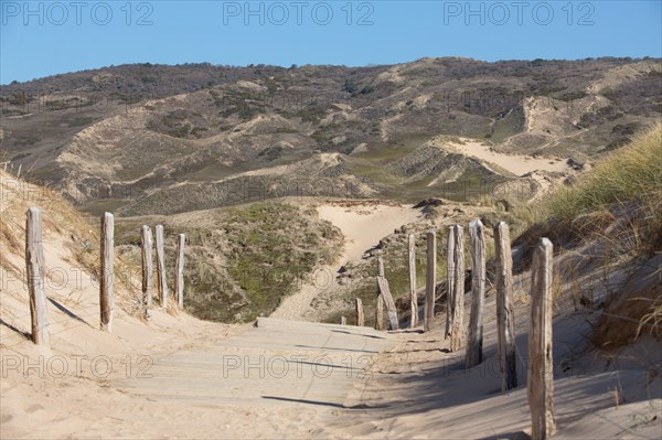 Dunes de Biville (Manche)