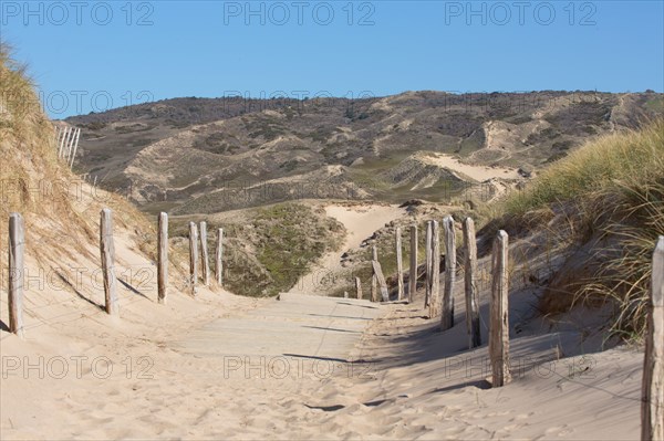 Dunes de Biville (Manche)