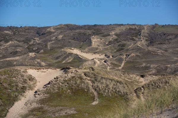 Dunes de Biville (Manche)