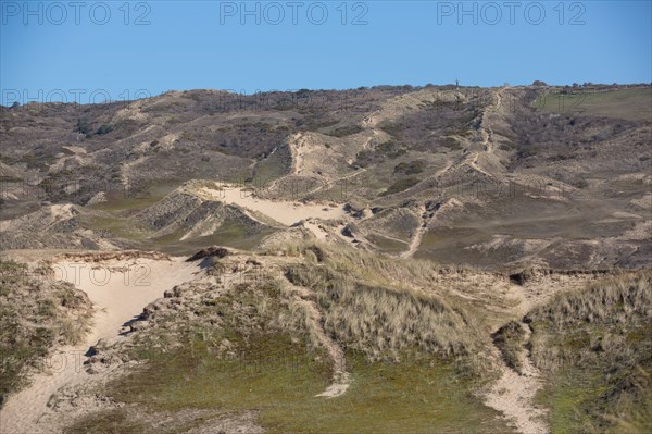 Sand dunes of Biville (Manche)