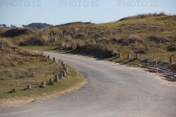 Dunes de Biville (Manche)