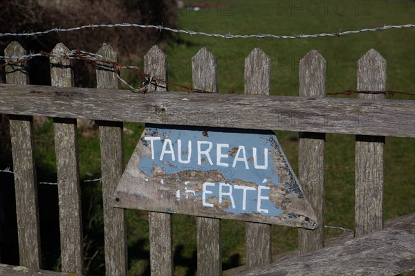 La Hague, Nez de Jobourg (Manche), sign that reads "Taureau en liberté" in French (free-range bull)