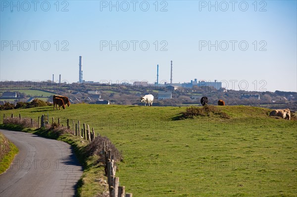 La Hague, Nez de Jobourg (Manche), centrale de retraitement des déchets nucléaires de La Hague (Cogema)