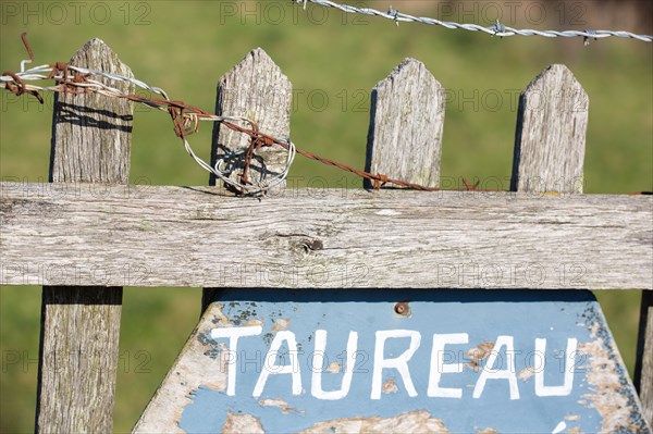 La Hague, Nez de Jobourg (Manche), sign that reads "Taureau en liberté" in French (free-range bull)