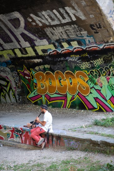 Paris, Petite Ceinture en la gare du Poinçon et la rue Didot