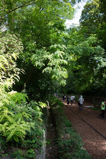 Paris, Petite Ceinture en la gare du Poinçon et la rue Didot