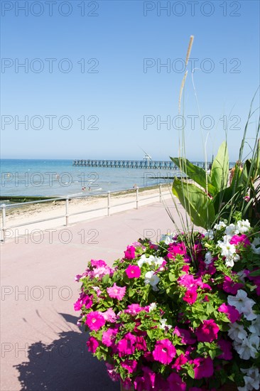 Luc-sur-Mer (Calvados)