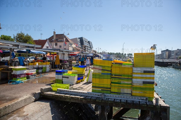 Courseulles-sur-Mer (Calvados)