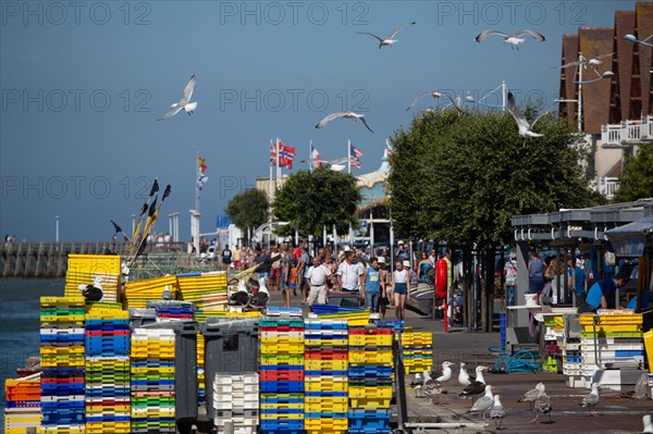 Courseulles-sur-Mer (Calvados)