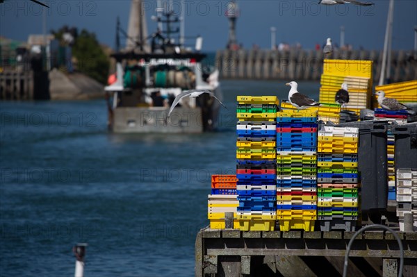 Courseulles-sur-Mer (Calvados)