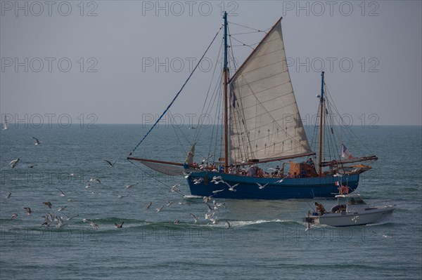 Fécamp (Seine-Maritime)