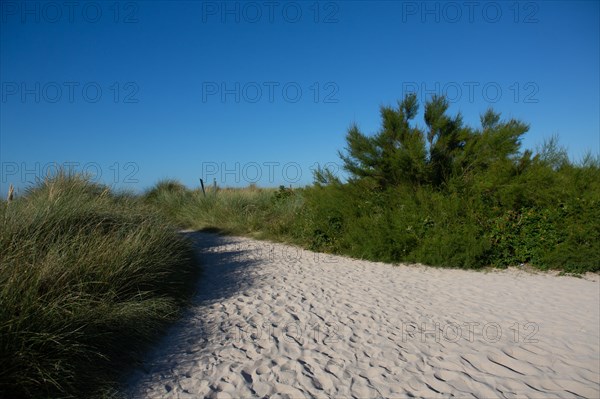 Courseulles-sur-Mer (Calvados)