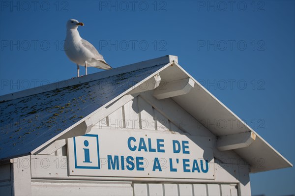 Courseulles-sur-Mer (Calvados)