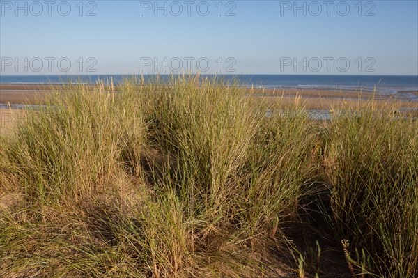 Blonville-sur-Mer (Calvados)