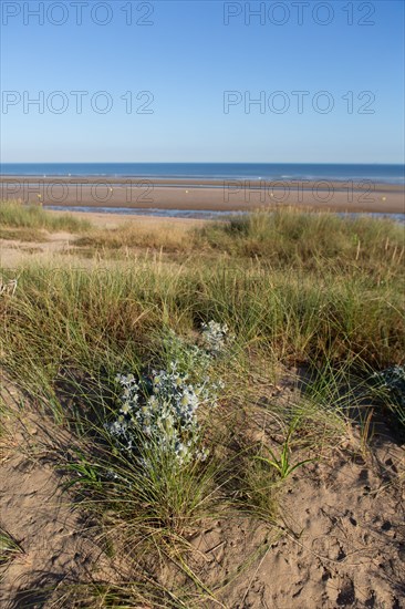 Blonville-sur-Mer (Calvados)