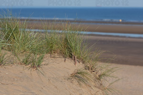 Blonville-sur-Mer (Calvados)