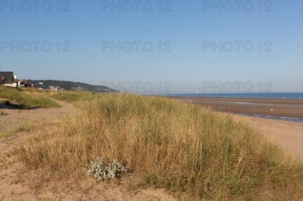 Blonville-sur-Mer (Calvados)