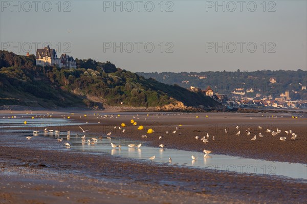 Deauville (Calvados)