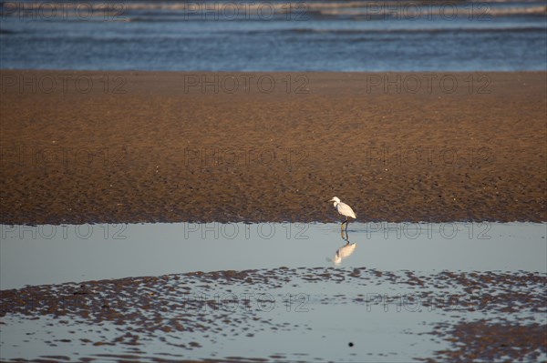 Blonville-sur-Mer (Calvados)