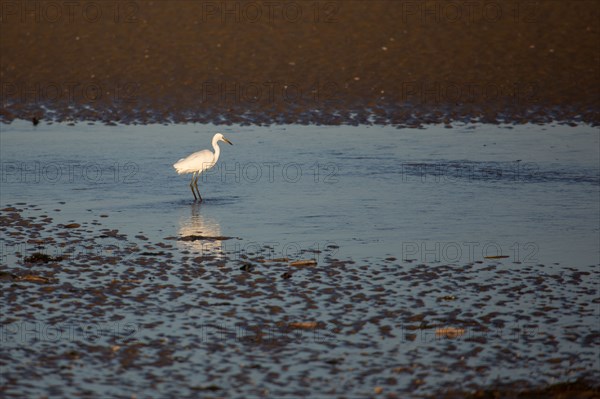 Blonville-sur-Mer (Calvados)