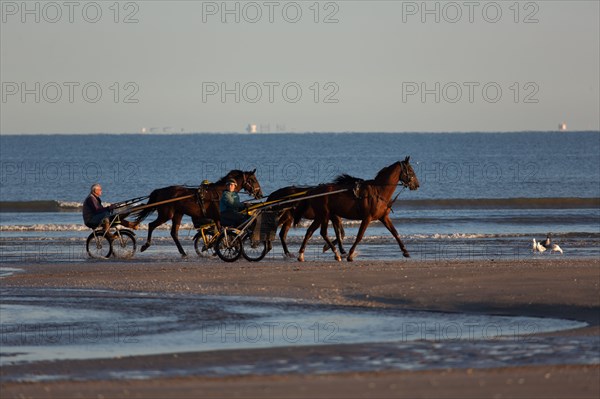 Deauville (Calvados)