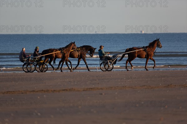 Deauville (Calvados)