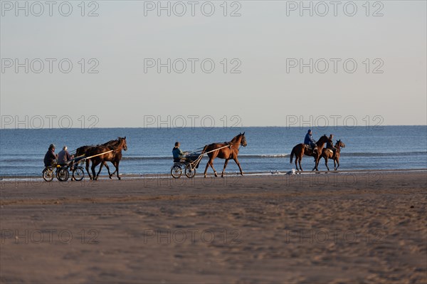 Deauville (Calvados)