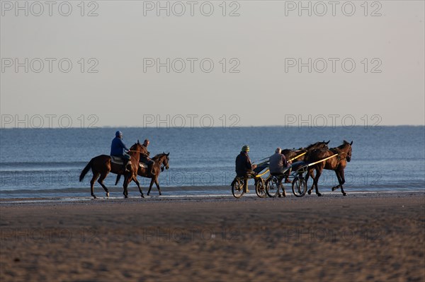 Deauville (Calvados)