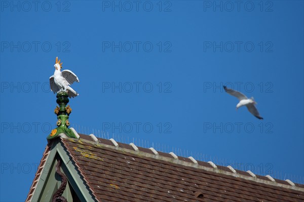 Deauville (Calvados)