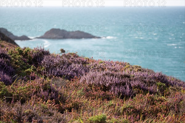 Cap d'Erquy (Côtes d'Armor)