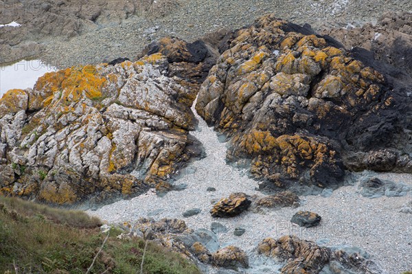 Pléneuf Val André, Port de Dahouët (Côtes d'Armor)