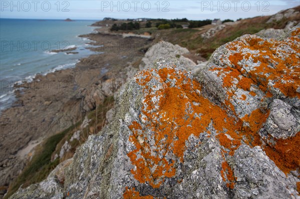 Pléneuf Val André (Côtes d'Armor)