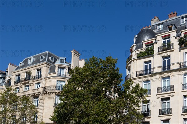 Paris, boulevard des Invalides