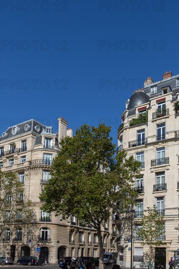 Paris, boulevard des Invalides