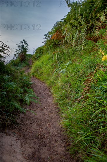 Pléneuf Val André (Côtes d'Armor)