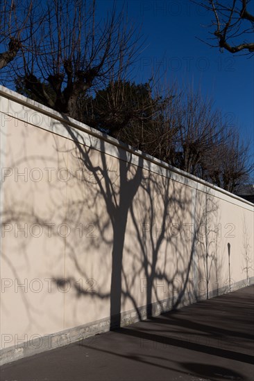 Paris, projected shadow