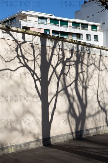 Paris, projected shadow