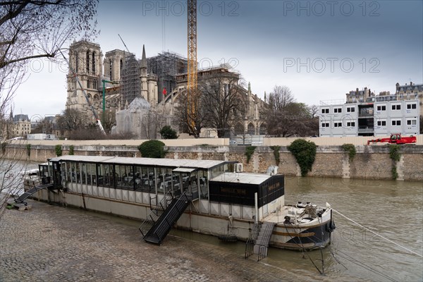 Cathédrale Notre-Dame de Paris