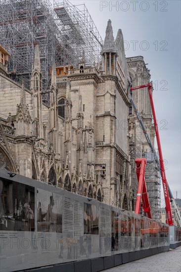 Cathédrale Notre-Dame de Paris, un an après l’incendie du 15 avril 2019