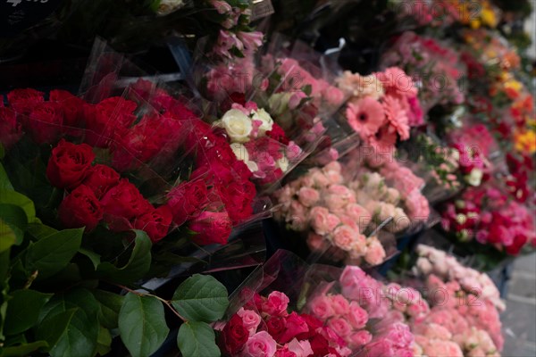 Paris, flower shop