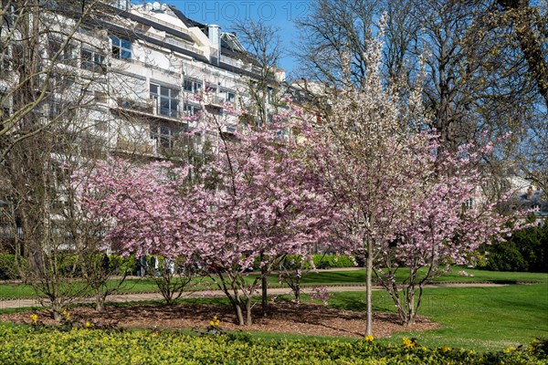 Paris, jardin du Luxembourg