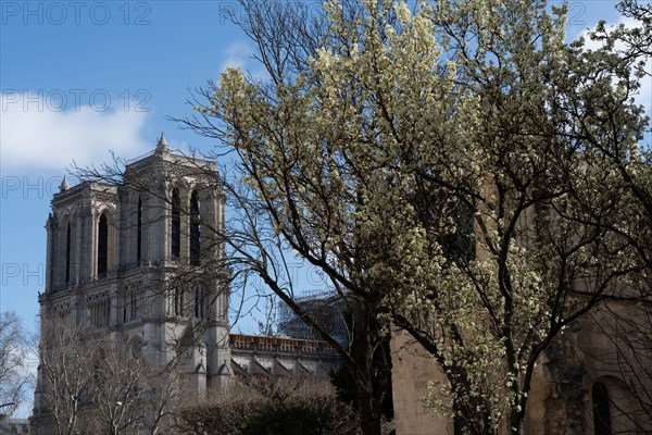 Paris, tours de la cathédrale Notre-Dame