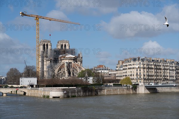 Cathédrale Notre-Dame de Paris, un an après l’incendie du 15 avril 2019