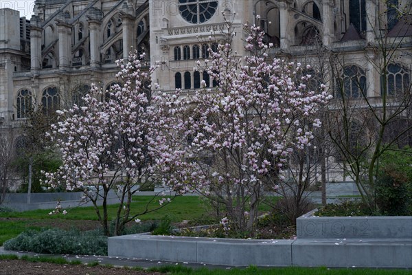 Paris, Church of St Eustache, Paris