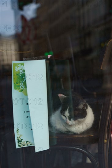 Paris, la semaine du déconfinement, mai 2020