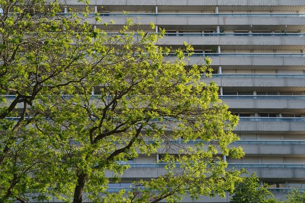 Paris, la semaine du déconfinement, mai 2020